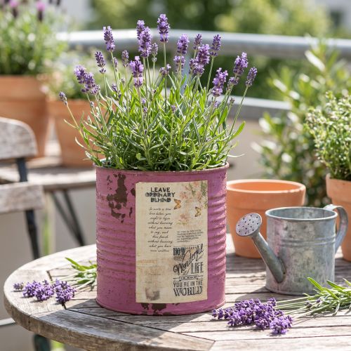 Vintage planter decorative box purple metal summer decoration Ø11cm H10.5cm | Floristik24.co.uk
