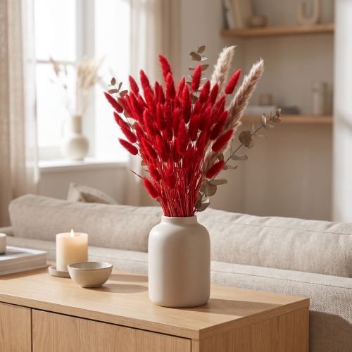 Decorative grass red, Lagurus, velvet grass, dried flower arrangements L20–50cm 25g | Floristik24.co.uk