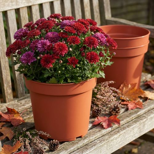 Plant Pot Plastic Ø23cm 10pcs | Floristik24.co.uk