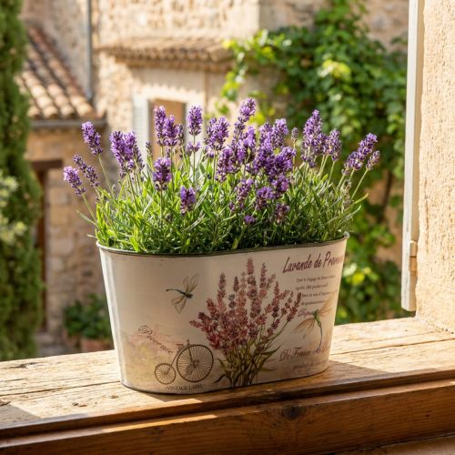 Flower bowl oval lavender flower pot plastic 21.5×12.5cm H11cm | Floristik24.co.uk