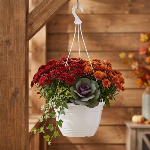 Hanging basket Ø30cm white | Floristik24.co.uk