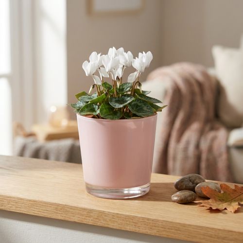 Product Flowerpot glass planter pink glass bucket Ø10cm H8.5cm