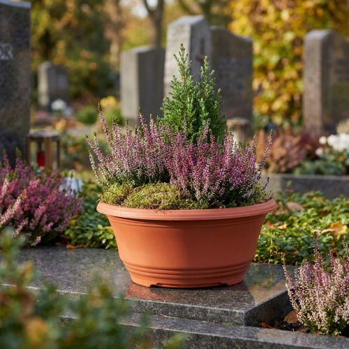 Plastic plant bowl Ø20cm flower bowl terracotta 5pcs | Floristik24.co.uk