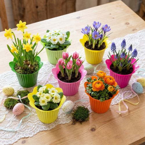 Plastic Pot Flower Ø12cm 25 pcs | Floristik24.co.uk