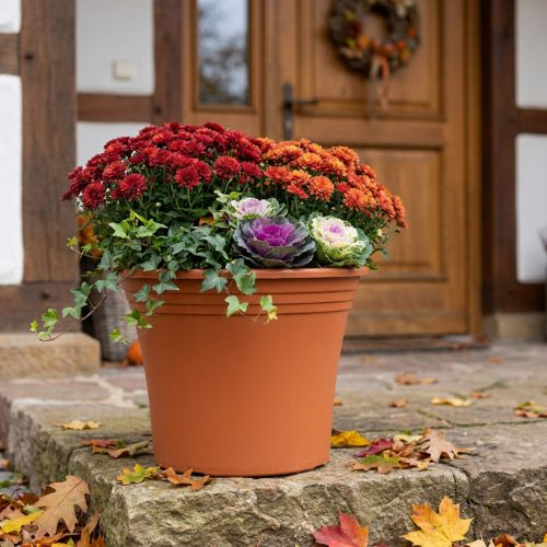 Pot “Irys” plastic terracotta Ø43cm H35cm 1 pc | Floristik24.co.uk