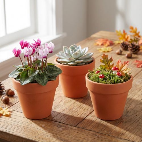 Flowerpot Clay Ø6cm high 5cm 10pcs | Floristik24.co.uk