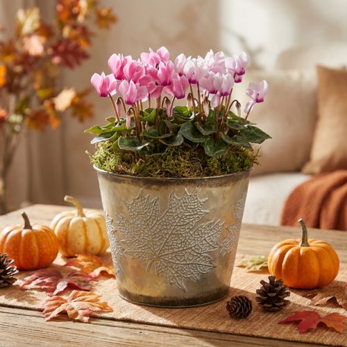 Autumn pot, planter with leaves, golden metal decoration Ø16.5cm H14.5cm | Floristik24.co.uk