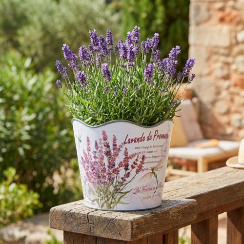 Planter plastic flower pot summer lavender Ø16.5cm H13.5cm | Floristik24.co.uk
