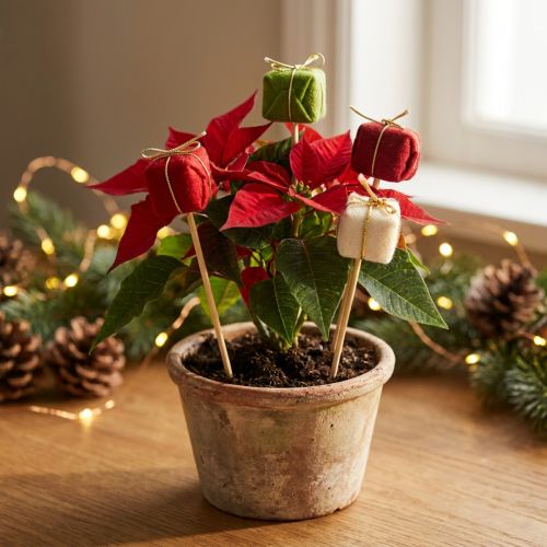 Flower plugs Christmas Christmas packages 2.5cm 15 pcs | Floristik24.co.uk