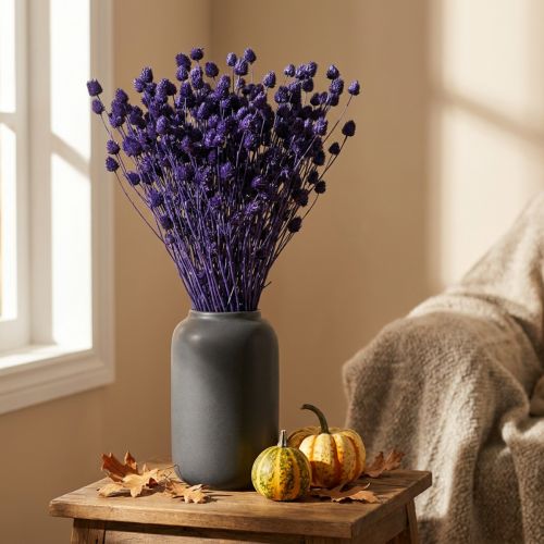 Strawberry Thistle Dried Thistle Decoration Violet 44-58cm 100g | Floristik24.co.uk