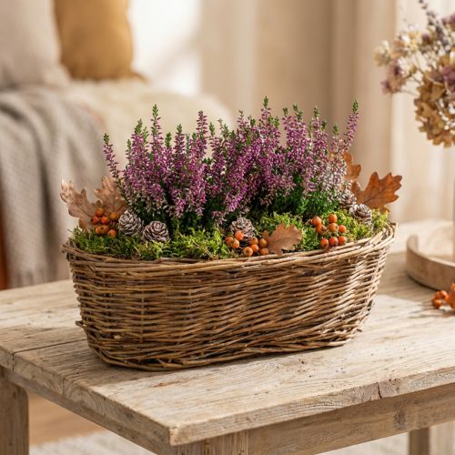 Bread basket approx. 30cm oval unpeeled | Floristik24.co.uk