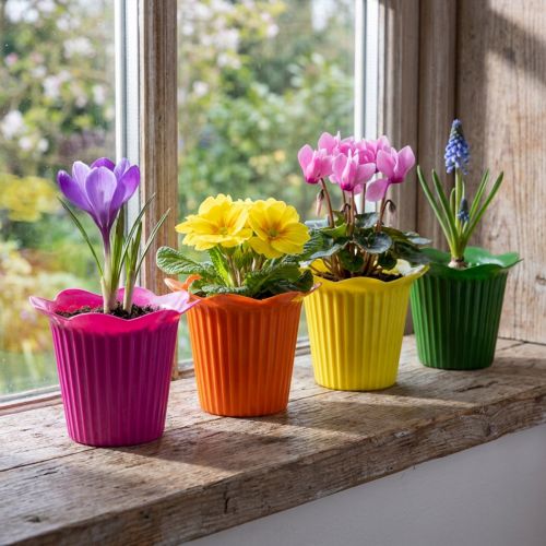 Plastic pot flower Ø9cm 25 pcs | Floristik24.co.uk