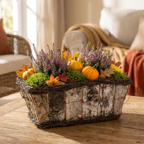 Plant box plant pot square birch/vines 28×14×11.5cm | Floristik24.co.uk