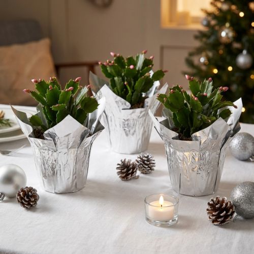 Mini Silver Plastic Flower Pots – Set of 8, 4.5cm Base, 7cm Height | Floristik24.co.uk