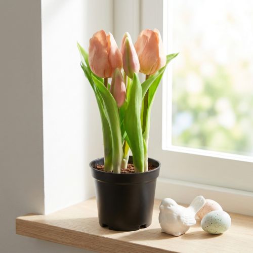 Artificial tulips in pot Tulips Peach artificial flowers 22cm | Floristik24.co.uk