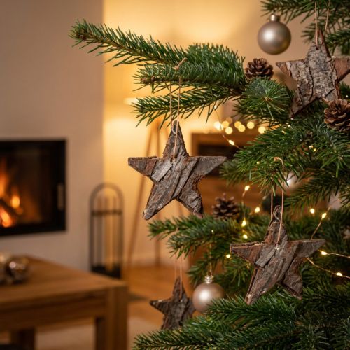 Decoration Stars Pine Natural Christmas Tree Decoration Pine Stars 6cm 12 pcs | Floristik24.co.uk