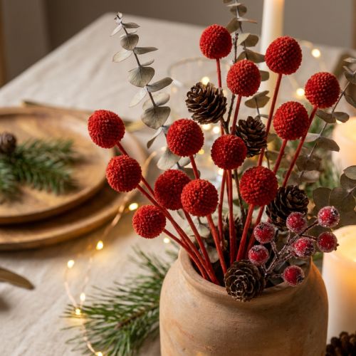 Product Craspedia Dried Flowers Dyed Red 55cm 20 Stems