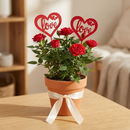 Flower plug heart red wooden decorative plug Love 7cm 12pcs | Floristik24.co.uk