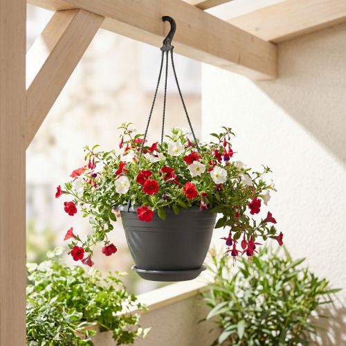 Hanging basket Galicia Ø30cm anthracite | Floristik24.co.uk