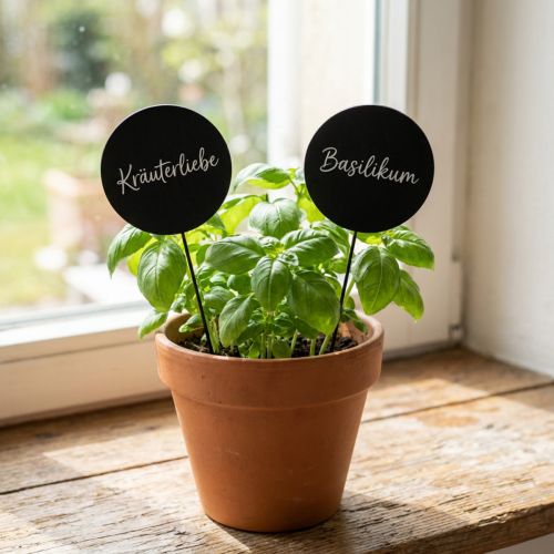 Decorative wooden chalkboard stakes, round, black, Ø6cm, L15cm, 12 pieces - Creative decoration for flower arrangements and gifts | Floristik24.co.uk