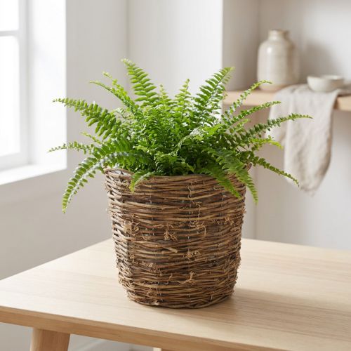 Plant basket with vine-like design, decorative for flower pots and table decorations | Floristik24.co.uk