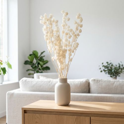 Physalis dried bleached lantern flower decoration Nicandra 75-80cm 100g | Floristik24.co.uk
