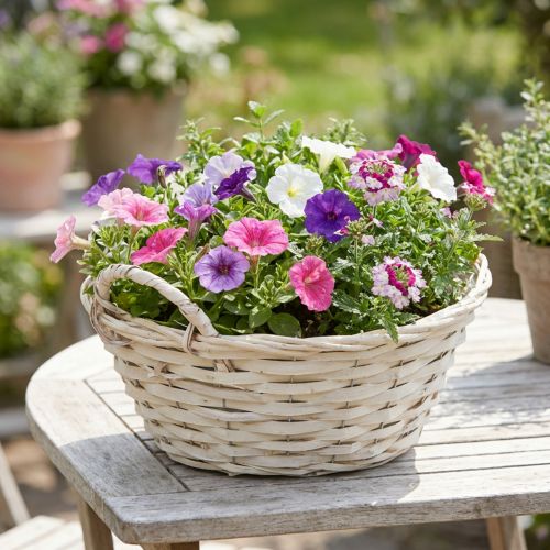 Vintage white plant basket, Ø30cm H14cm with handles | Floristik24.co.uk