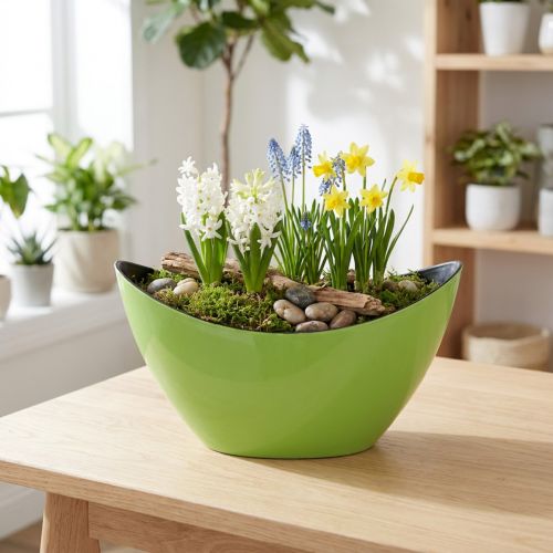 Plant boat green decorative bowl oval 20cmx9cmx12cm | Floristik24.co.uk