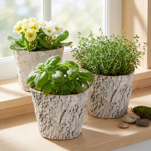 Bark-look plant pot, ideal for rustic interior design and plant decoration, 12cm, 4 pieces | Floristik24.co.uk