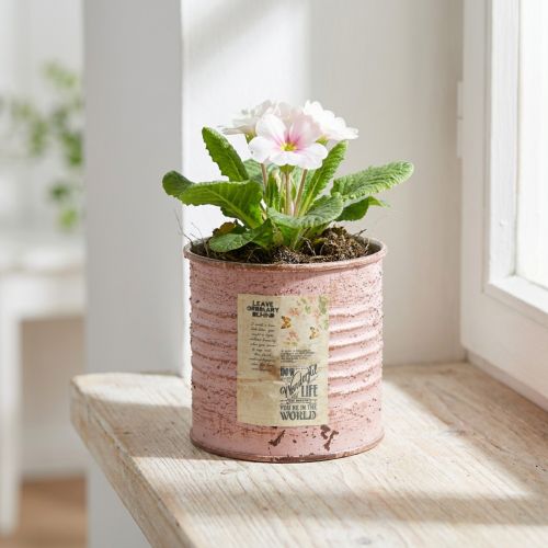 Flower pot decorative tin round antique rose metal planter Ø8cm H7.5cm | Floristik24.co.uk
