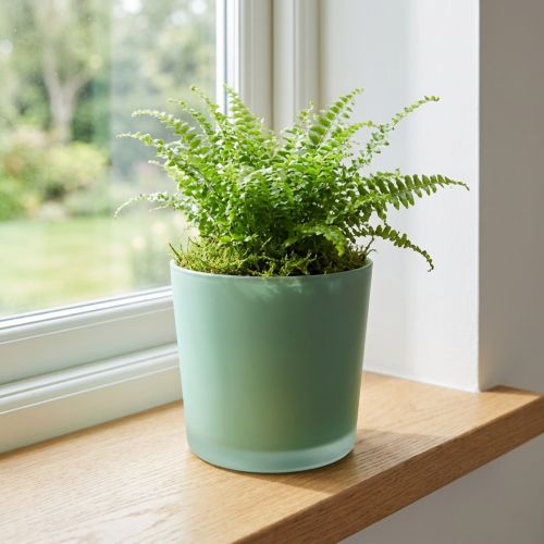 Glass flower pot green planter glass tub Ø11.5cm H11cm | Floristik24.co.uk