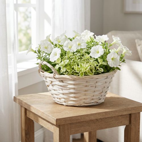 Basket with handles, chipwood basket, plant basket, white, vintage, decorative, Ø35cm | Floristik24.co.uk