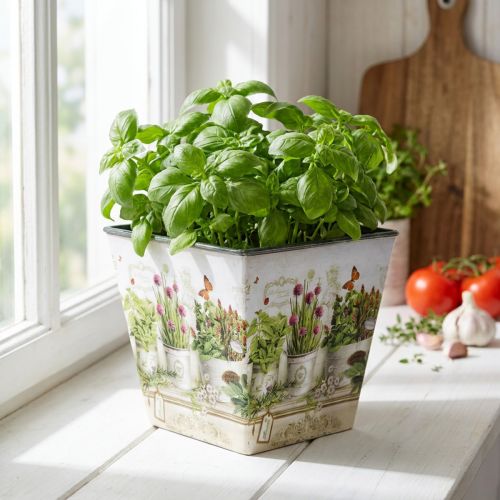 Herb pot, planter with motif, planter H13cm W13.5cm | Floristik24.co.uk
