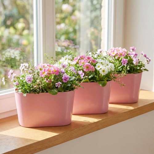 Plant bowl oval pink decorative bowl plastic 20×10×11cm 3pcs | Floristik24.co.uk