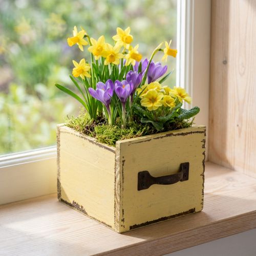 Plant drawer wooden decorative plant box yellow 12.5cm | Floristik24.co.uk