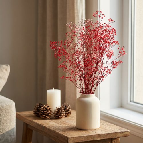 Gypsophila Dried Flowers Red 50cm 55g | Floristik24.co.uk