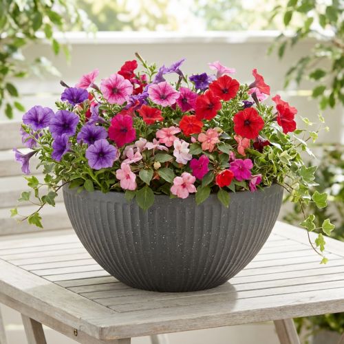 Plant bowl plastic anthracite Ø35cm H16.5cm | Floristik24.co.uk