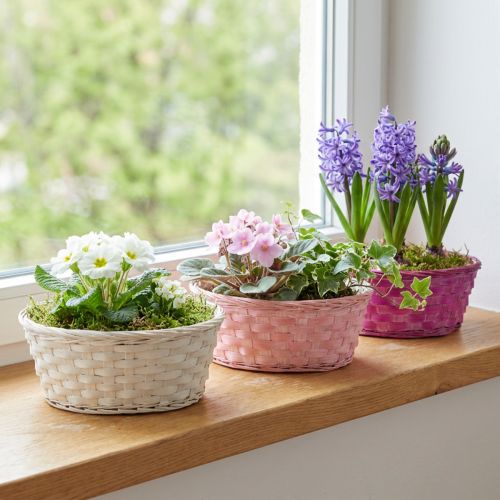 Chip basket round purple/white/pink Ø25cm 6 pcs | Floristik24.co.uk
