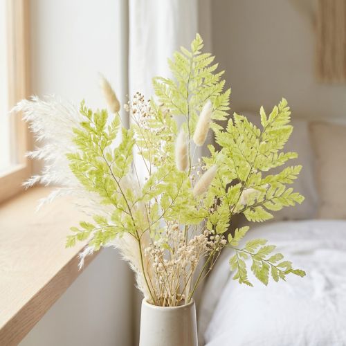 Ferns: Preserved, high-quality natural material for long-lasting decoration projects, 40cm, 10 pieces | Floristik24.co.uk