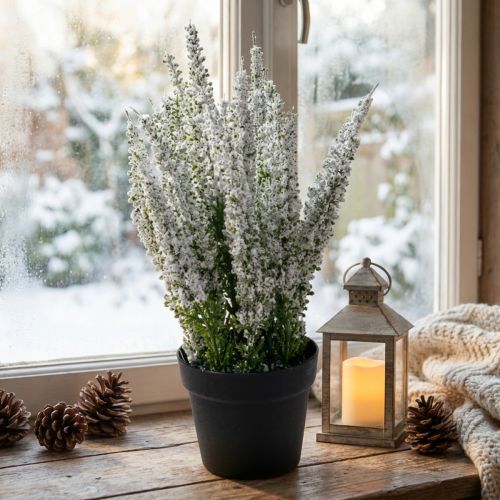 Erika white heather broom heather artificial plant H26cm | Floristik24.co.uk