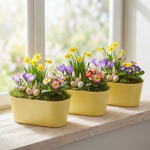 Plant bowl oval decorative