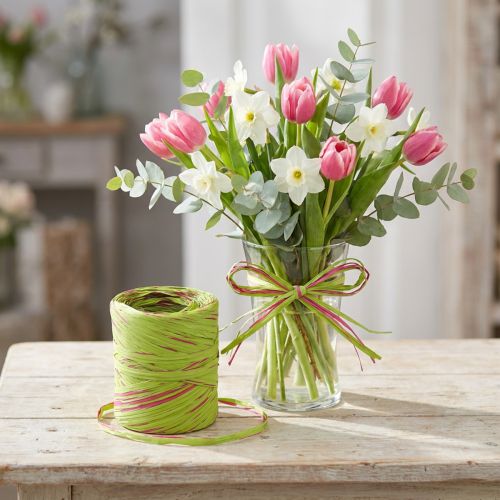 Raffia ribbon light green, pink, poly raffia 200m | Floristik24.co.uk