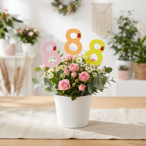Anniversary number "8" Colorful number plug wood 7.5cm 16 pcs | Floristik24.co.uk
