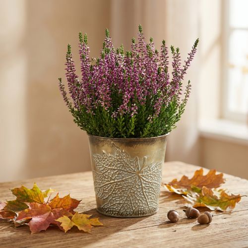 Planter for autumn, metal pot with leaf decoration, golden planter Ø10cm H10cm | Floristik24.co.uk