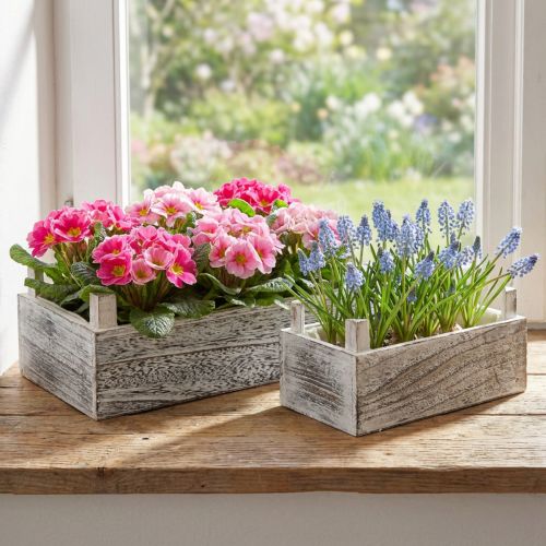 Rectangular wooden plant box whitened 32x17/25x13cm set of 2 | Floristik24.co.uk