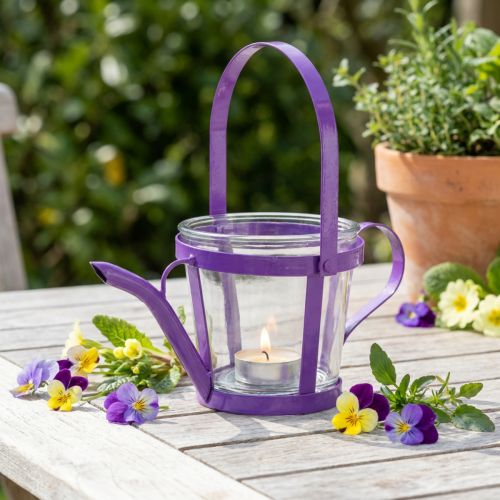 Lantern glass decoration watering can metal purple Ø14cm H13cm | Floristik24.co.uk