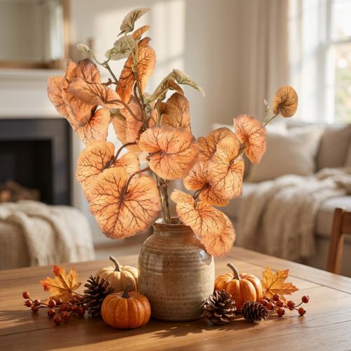 Heuchera Round Leaves
