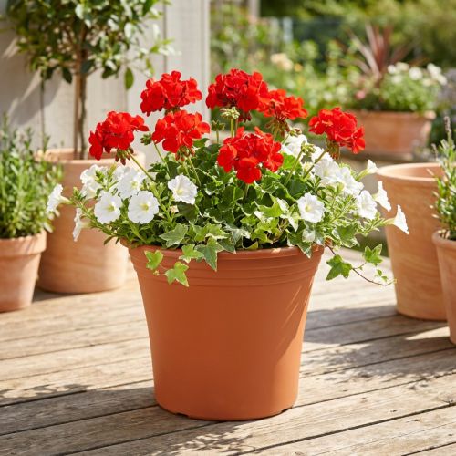 Pot “Irys” plastic terracotta Ø22cm H18cm 1 pc | Floristik24.co.uk