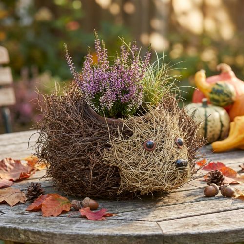 Hedgehog planter made of vines 22cm x 25cm | Floristik24.co.uk