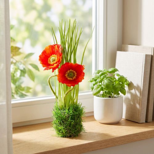 Poppy red in the grass 23cm | Floristik24.co.uk